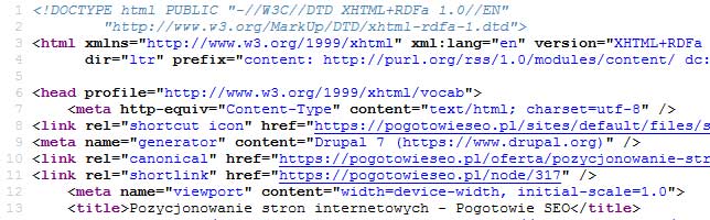 Optymalizowanie meta danych strony WWW
