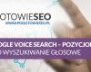Google Voice Search – pozycjonowanie pod wyszukiwanie głosowe