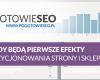 Kiedy będą efekty pozycjonowania SEO ?