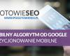 Mobilny algorytm od Google - pozycjonowanie mobilne