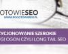 pozycjonowanie szerokie Long tail SEO - długi ogon