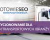 SEO i pozycjonowanie firm transportowych, spedycyjnych - branża TLS