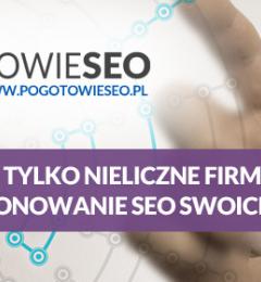 Dlaczego tylko nieliczne firmy inwestują w pozycjonowanie SEO swoich biznesów?