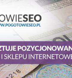 Ile kosztuje pozycjonowanie stron i sklepów internetowych?