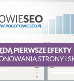 Kiedy będą efekty pozycjonowania SEO ?