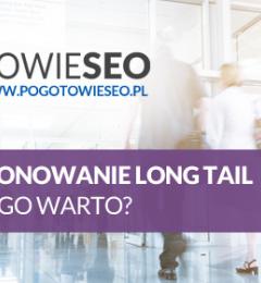 Pozycjonowanie long tail (długi ogon) - dlaczego warto?