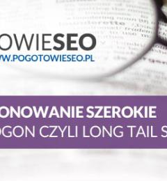 pozycjonowanie szerokie Long tail SEO - długi ogon