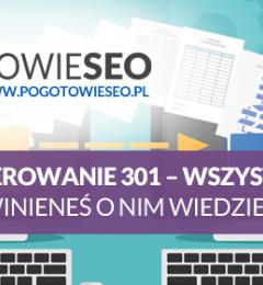 Co to jest przekierowanie 301 (301 Redirect) i dlaczego warto stosować ?