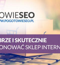 Sklep internetowy jak dobrze go pozyjonować czyli robić SEO