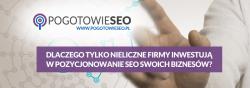 Dlaczego tylko nieliczne firmy inwestują w pozycjonowanie SEO swoich biznesów?