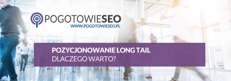 Pozycjonowanie long tail (długi ogon) - dlaczego warto?