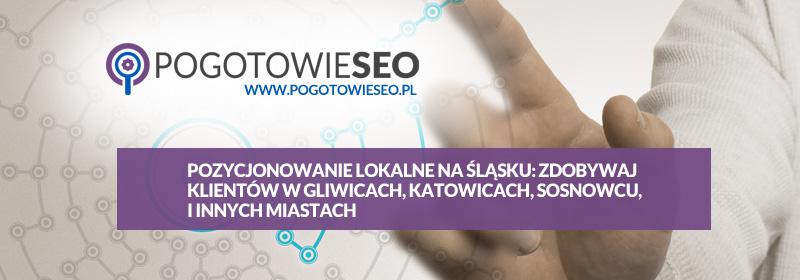 Pozycjonowanie Lokalne na Śląsku: Zdobywaj Klientów w Gliwicach, Katowicach, Sosnowcu, Zabrzu, Chorzowie i Innych Miastach