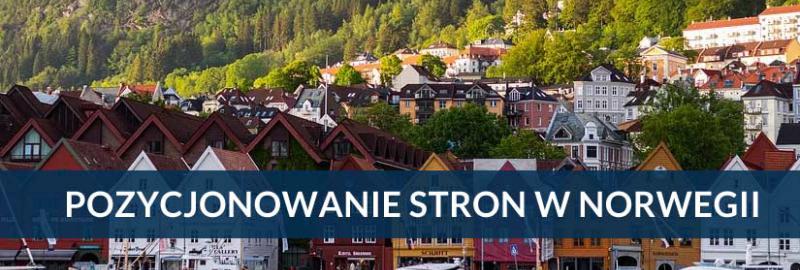 Pozycjonowanie stron i sklepów internetowych Norwegia