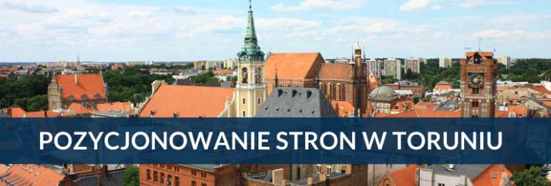 Pozycjonowanie stron i sklepów internetowych w Toruniu